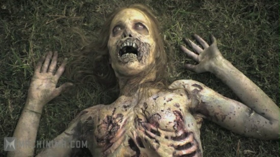 :  / The Walking Dead: Webisodes (2010) WEB-DL