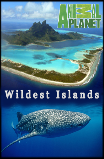 Animal Planet:   / Wildest Islands [ 01-07 ]  (2012-2013) HDTV 1080i