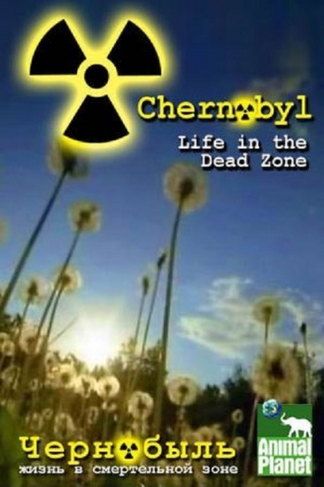 ,     / Chernobyl, Life in the Dead Zone / 2007 / HDTVRip