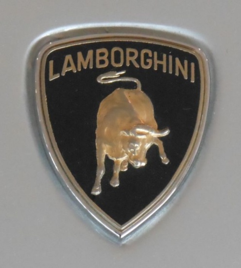    Lamborghini (101 )