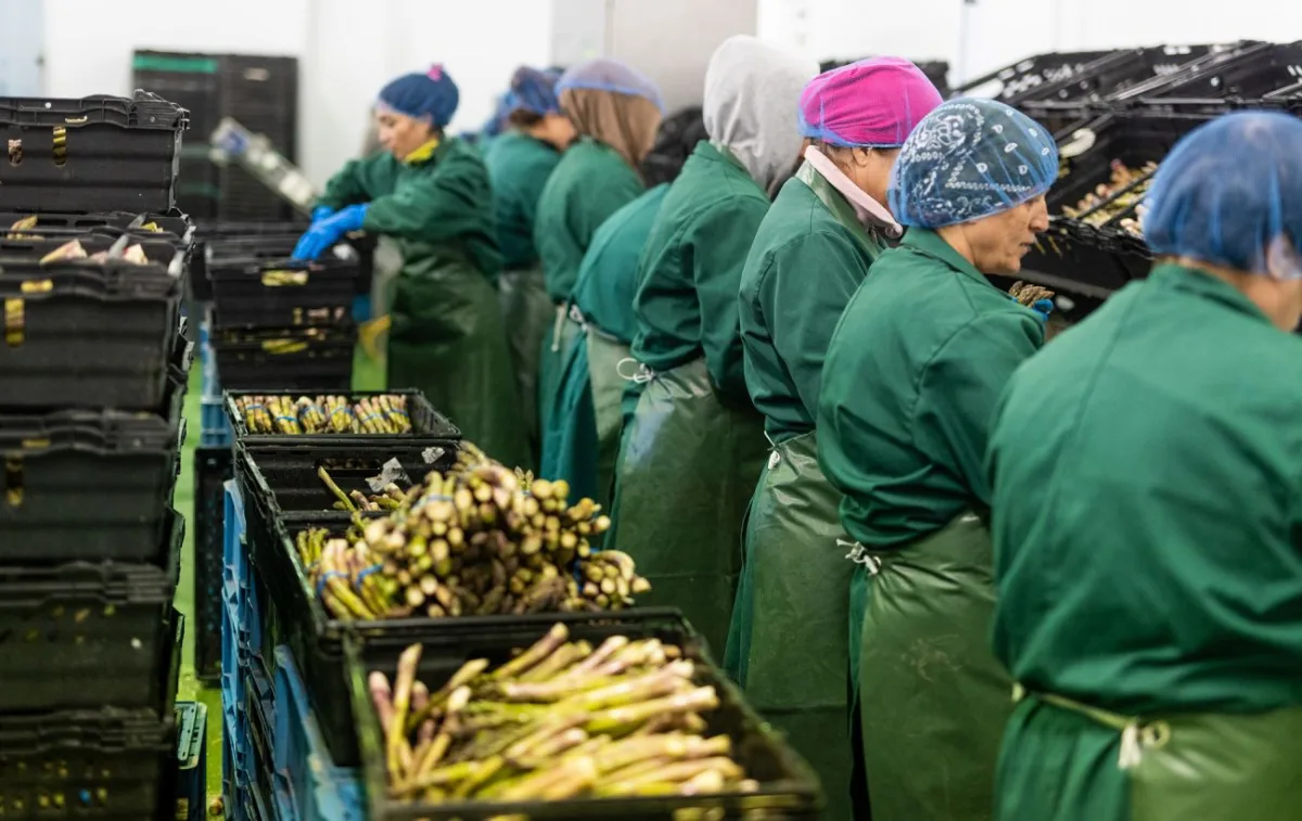 Темпи зростання зарплат у Польщі впали до мінімуму за 5 років: що далі